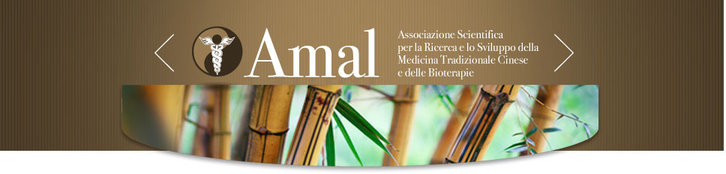 rsz 1eyi2feqn-testata-amal-new