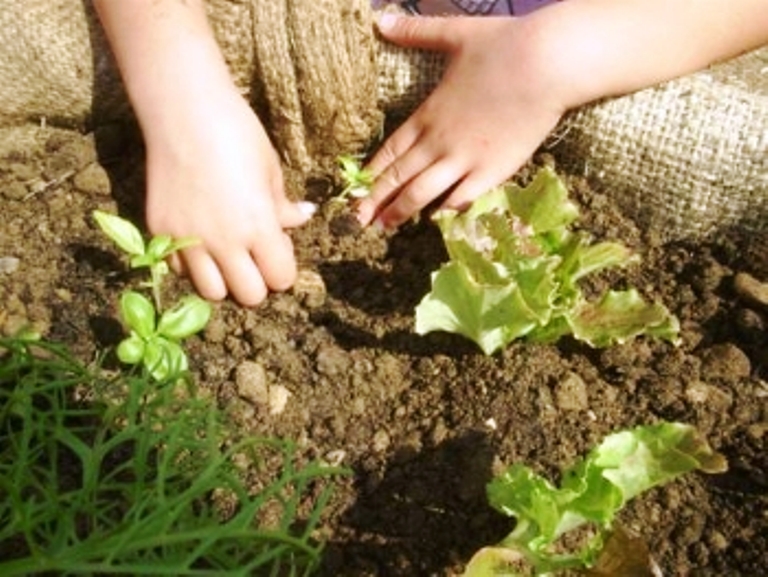 agricoltura