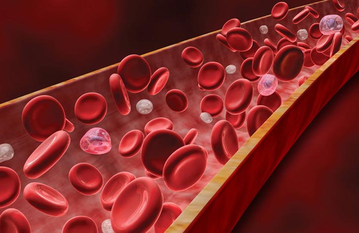 arterie-come-proteggersi-da-pasti-pantagruelici-grassi