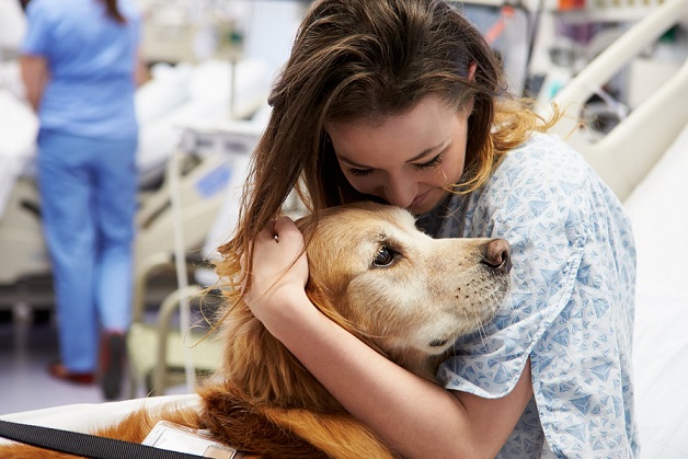 bigstock Therapy Dog Visiting Young Fem 55984748