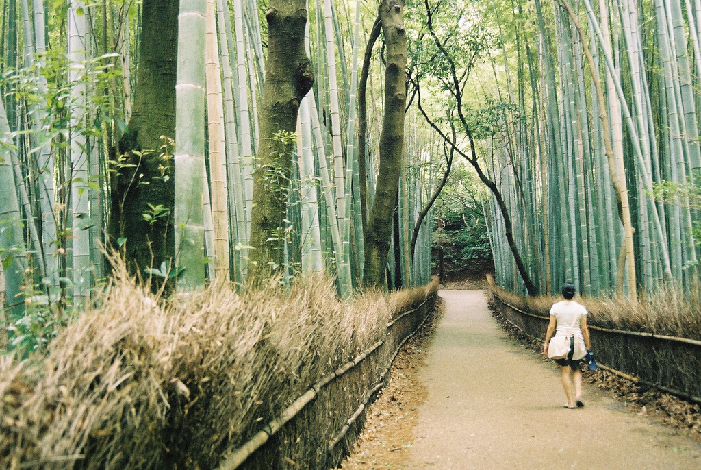 Shinrin-yoku-contatto-con-la-natura-fa-bene-alla-salute