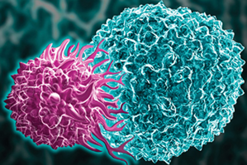 linfociti-t-tuomore-polmoni-trial-clinici