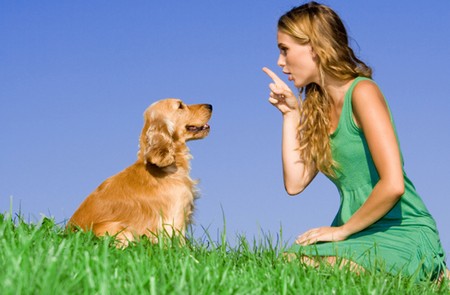 cane-comprende-il-linguaggio-umano