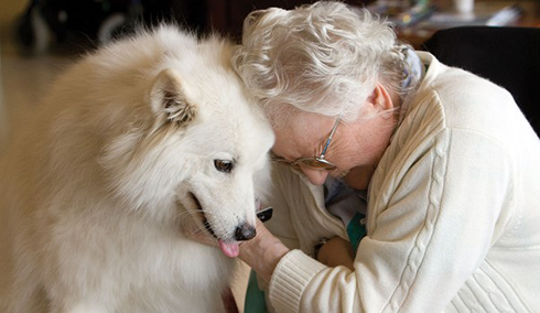 pet therapy cani parkinson