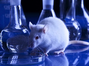 ricerca sperimentazione animale-interdetta-in-ue