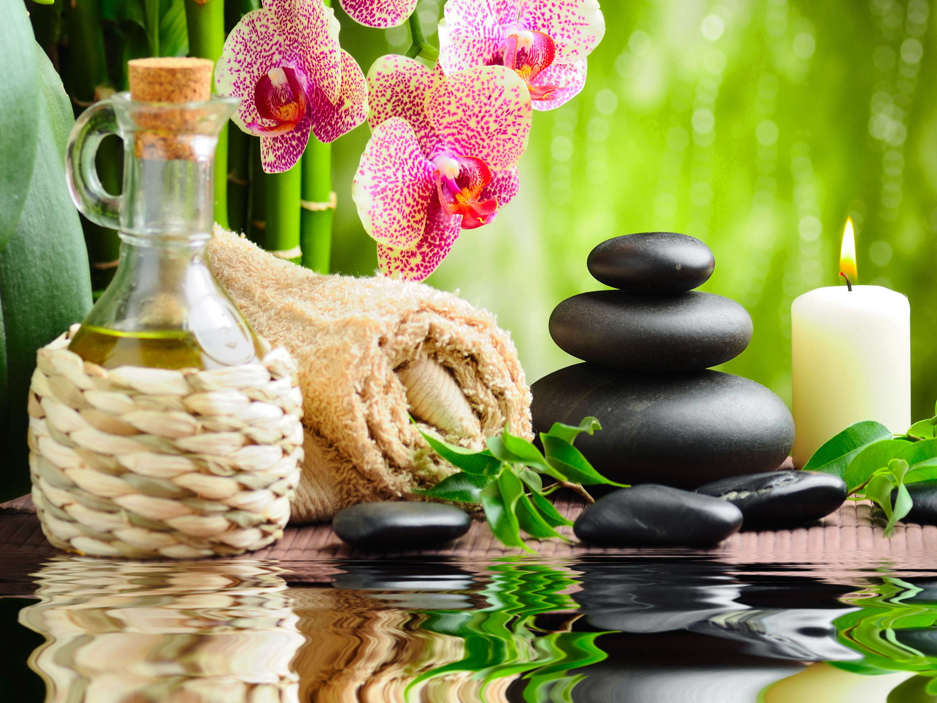 ayurveda-verso-il-riconoscimento-legge-senato-MNC
