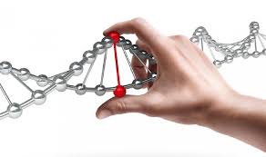 ingegneria-genetica-crispr-tumori