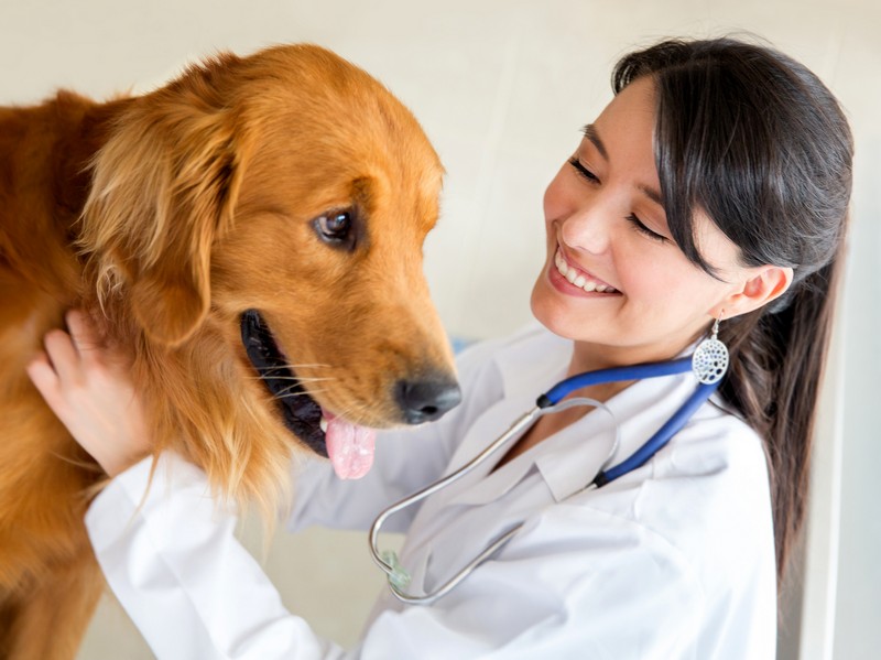 omeopatia veterinaria efficacia agricoltura