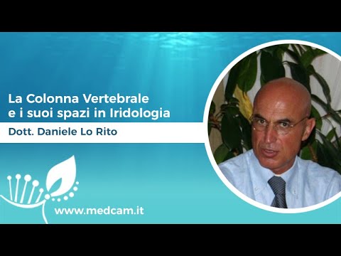 La Colonna Vertebrale e i suoi spazi in Iridologia [...] - Dott. Daniele Lo Rito